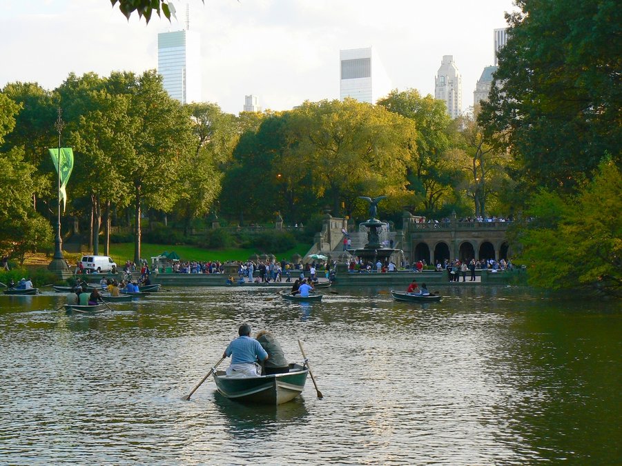 Central Park: Central Park 100